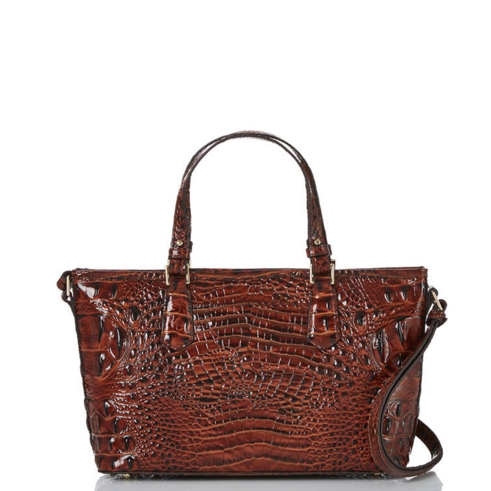 Brahmin Melbourne Mini Asher Pecan Crossbody Satchel